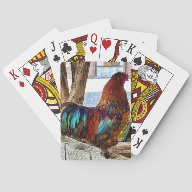 Vibrant Rooster Custom Poker Cards (Back)