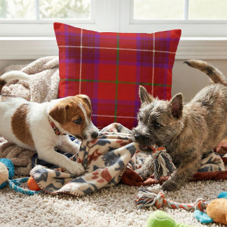 Vibrant Scottish Plaid - Rose Clan Tartan Cushion