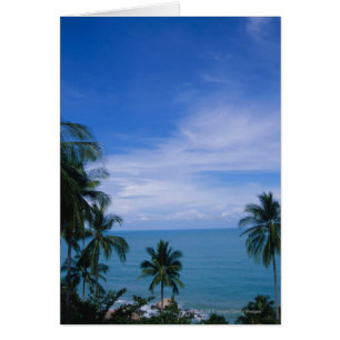 Vibrant shoreline