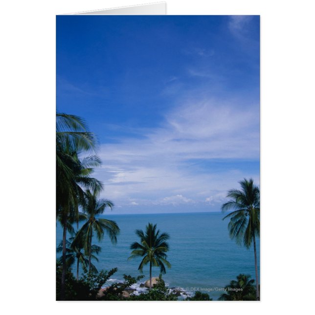 Vibrant shoreline (Front)