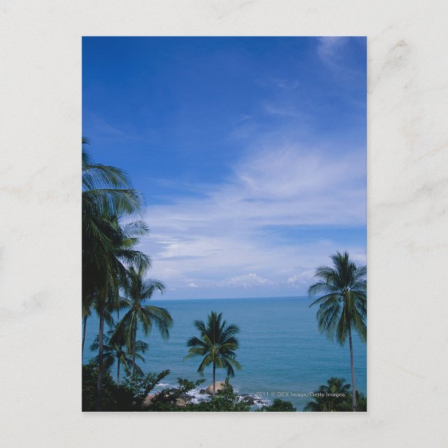 Vibrant shoreline postcard (Front)