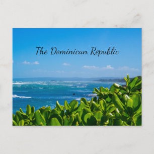 Vibrant Shores Postcard