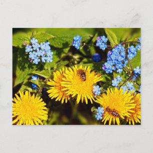 Vibrant Spring Floral Dandelion Bee Flowers Postcard