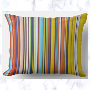 Vibrant Stripes Cushion