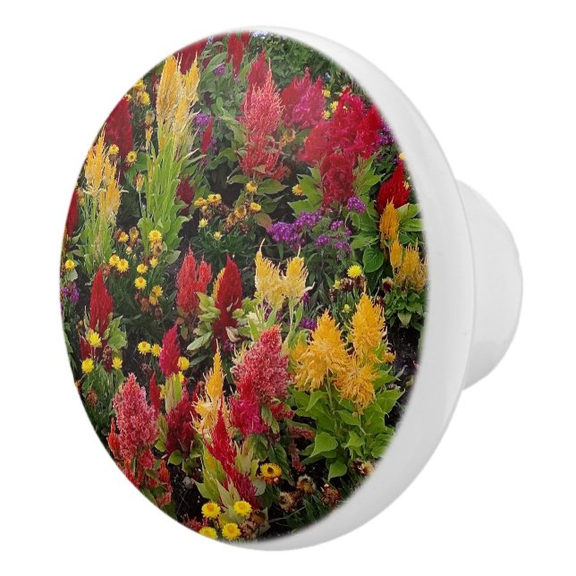 Vibrant Summer Flower Garden in Orlando Florida Ceramic Knob (Right)