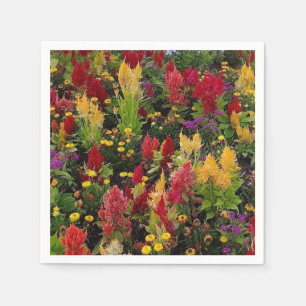Vibrant Summer Flower Garden in Orlando Florida Napkin