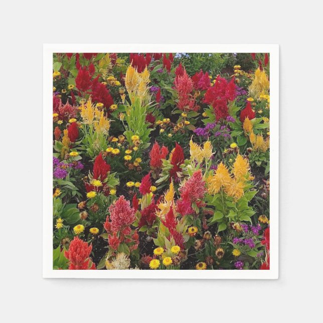 Vibrant Summer Flower Garden in Orlando Florida Napkin (Front)