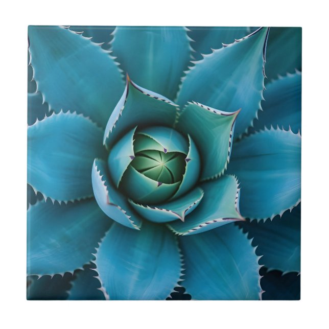 Vibrant Teal Agave Succulent Macro Geometric  Tile (Front)