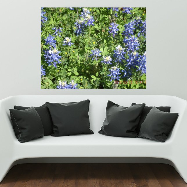 Vibrant Texas Bluebonnet Wall Poster (Creator Uploaded)