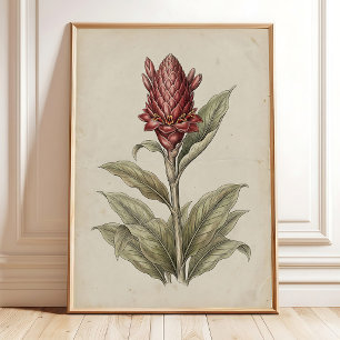 Vibrant Torch Ginger Flower Art Poster