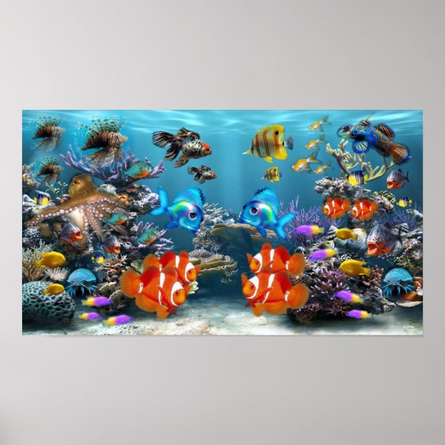 Vibrant Tropical Aquarium Poster (Front)