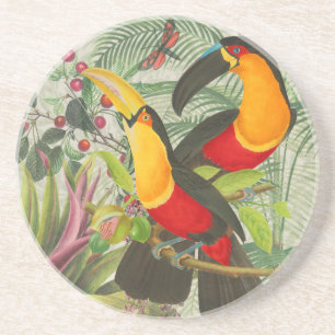 Vibrant Tropical Toucan Birds Art Exotic Jungle  Coaster