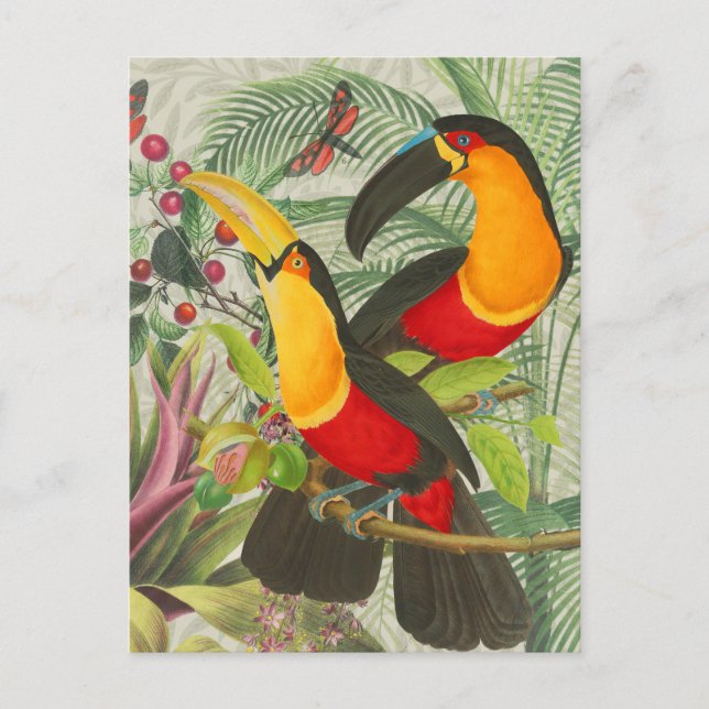 Vibrant Tropical Toucan Birds Art Exotic Jungle  Postcard (Front)