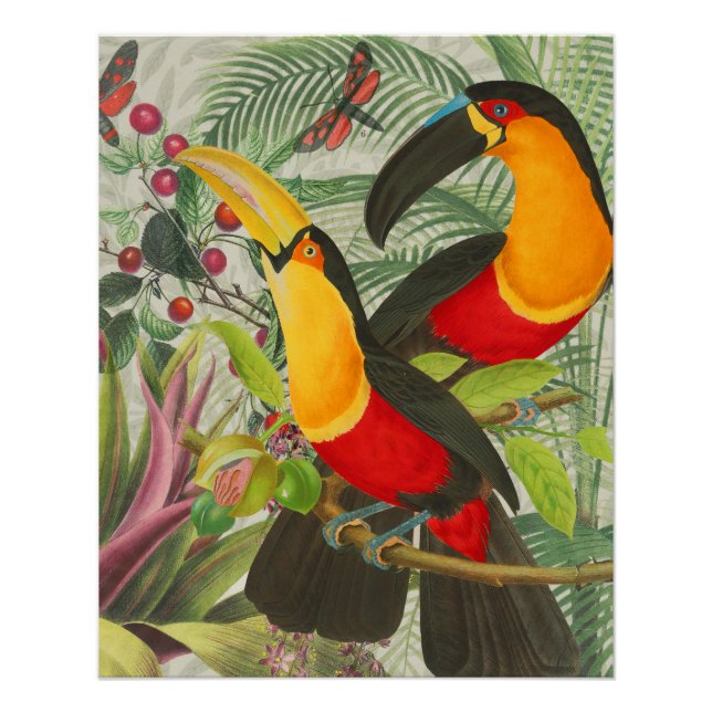 Vibrant Tropical Toucan Birds Art Exotic Jungle  Poster (Front)