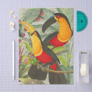 Vibrant Tropical Toucan Birds Art Exotic Jungle  Tissue Paper