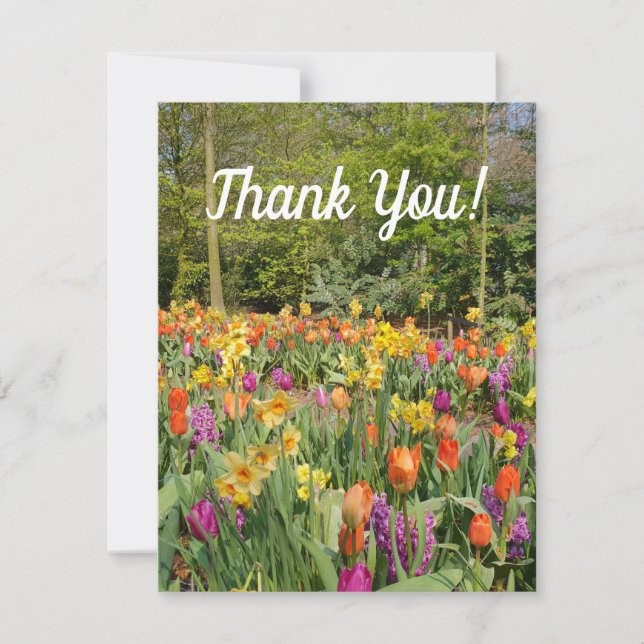 Vibrant Tulip Garden Thank You Card (Front)