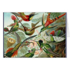 Vibrant Vintage hummingbirds art exotic tropical