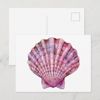 Vibrant watercolor pink seashell illustration postcard