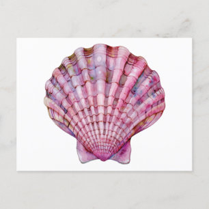 Vibrant watercolor pink seashell illustration postcard