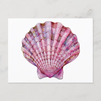 Vibrant watercolor pink seashell illustration postcard