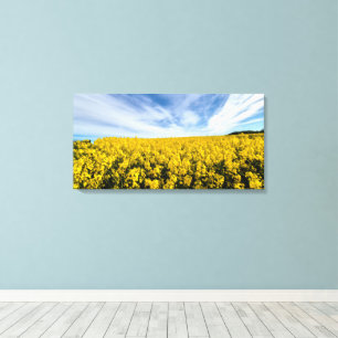 Vibrant Yellow Canola Field Canvas Print
