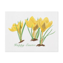 Vibrant Yellow Crocus Flowers Happy Easter