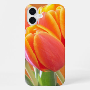 Vibrant Yellow Edged Orange Tulips Photograph iPhone 16 Plus Case