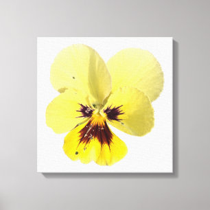Vibrant Yellow Pansy Flower Photo Canvas Wall Art