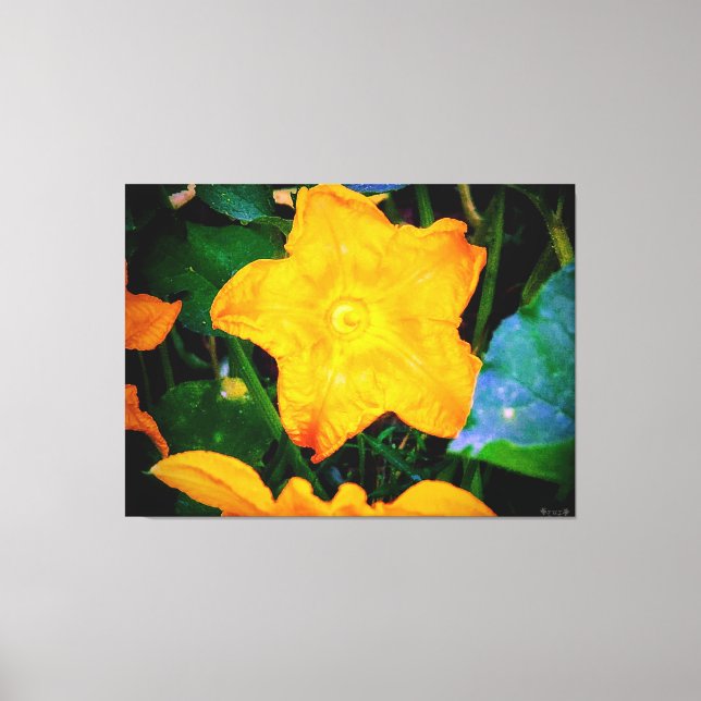 Vibrant Yellow Squash Blossom Canvas Print (Front)