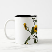 Vibrant Yellow Sunflower