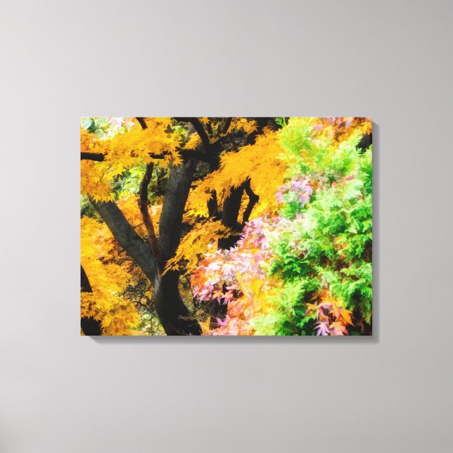 Vibrant Zen Garden Canvas Print (Front)