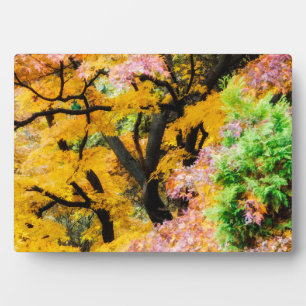 Vibrant Zen Garden Plaque