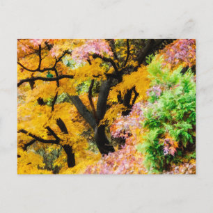 Vibrant Zen Garden Postcard