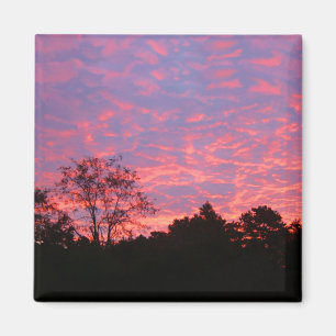 Vibrantly Pink Sunrise Magnet