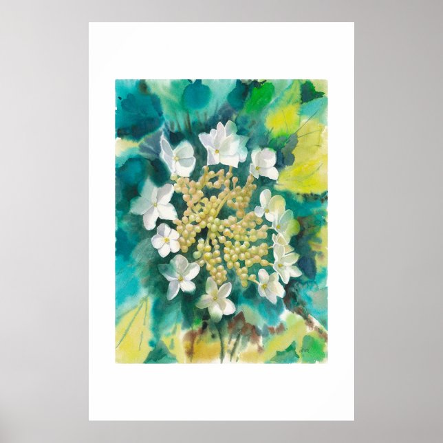 Viburnum Flowers Poster (Front)