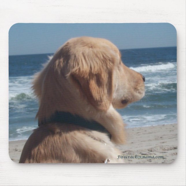 Viceroy At The Beach Mousepad (Front)