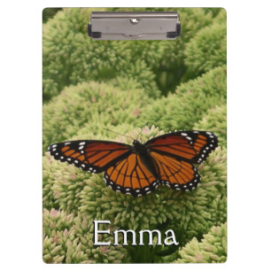 Viceroy Butterfly Beautiful Nature Photography Clipboard
