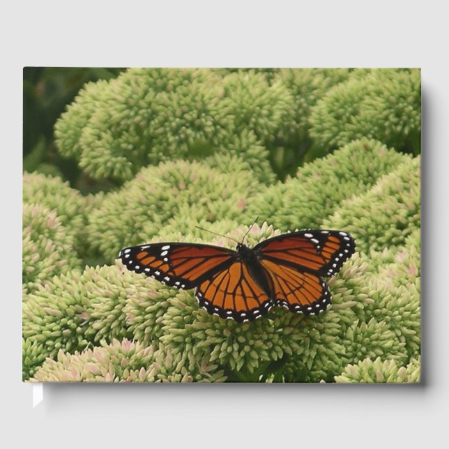 Viceroy Butterfly Beautiful Nature Photography Guest Book (Front)