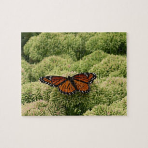 Viceroy Butterfly Beautiful Nature Photography Jigsaw Puzzle