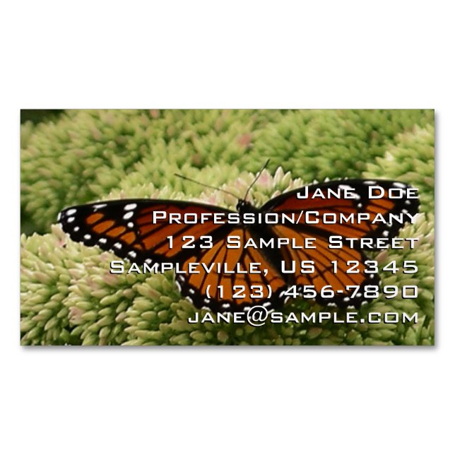 Viceroy Butterfly Beautiful Nature Photography Magnetic Business Card (Front)
