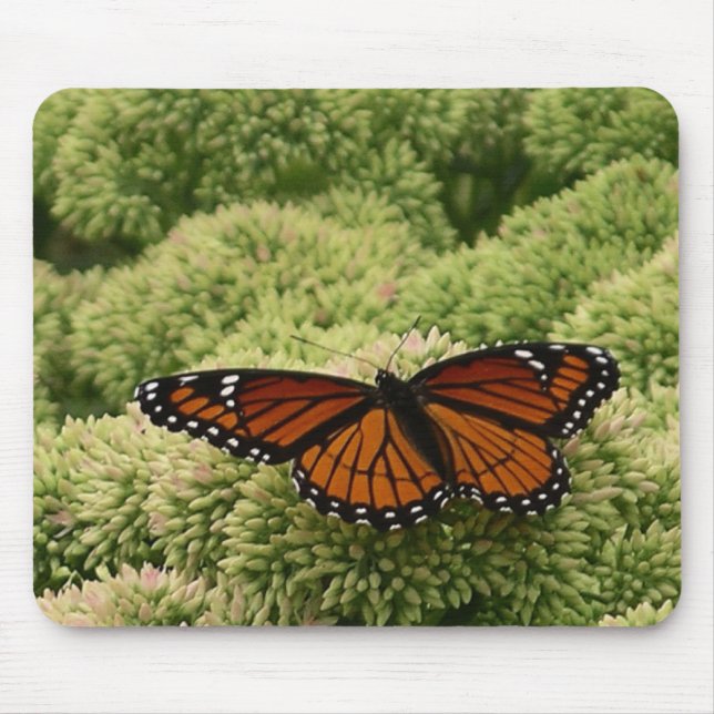 Viceroy Butterfly Beautiful Nature Photography Mouse Mat (Front)