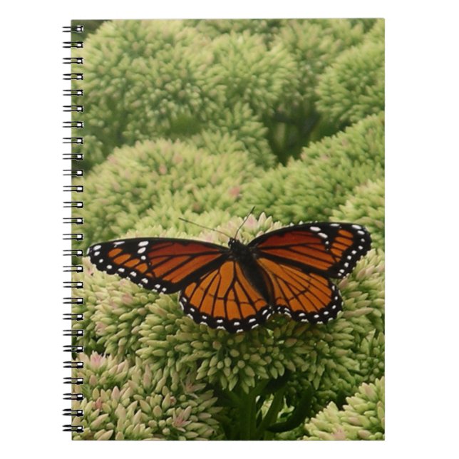 Viceroy Butterfly Beautiful Nature Photography Notebook (Front)
