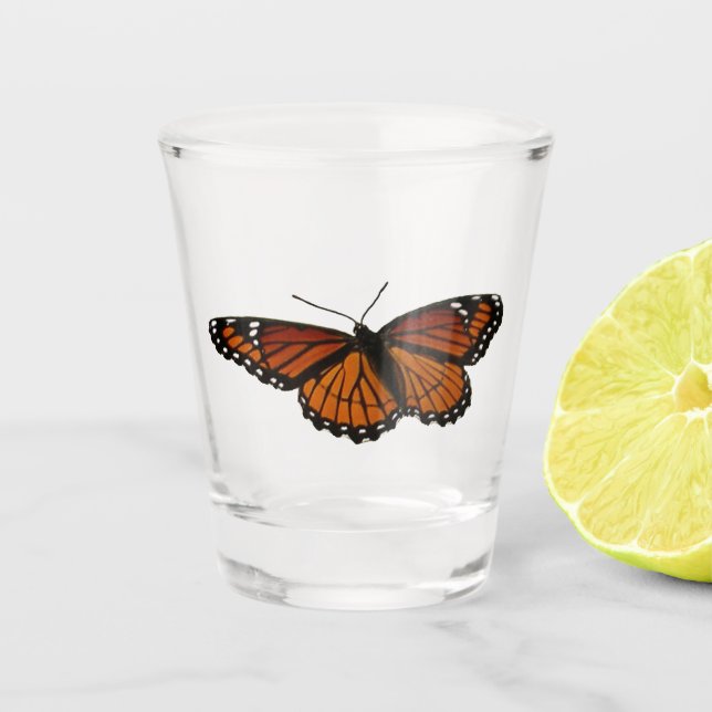 Viceroy Butterfly Beautiful Nature Photography Shot Glass (Front)