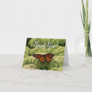 Viceroy Butterfly Beautiful Nature Photography Thank You Card