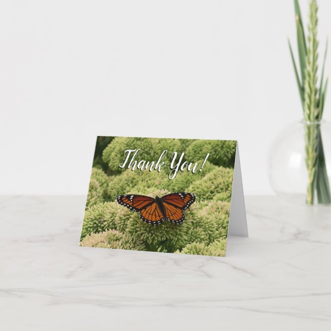 Viceroy Butterfly Beautiful Nature Photography Thank You Card (Front)