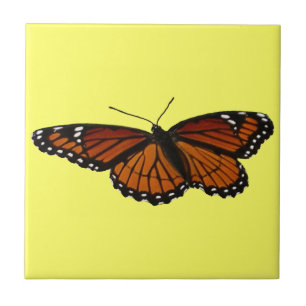 Viceroy Butterfly Beautiful Nature Photography Tile