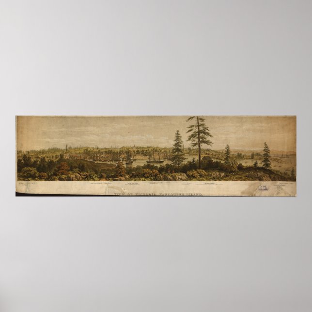 Victoria British Columbia 1860 Antique Panorama Poster (Front)