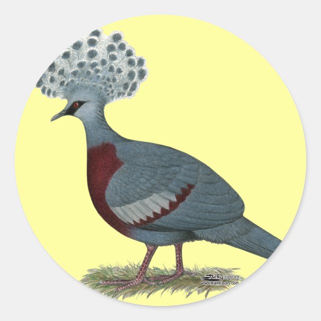 Victoria Crowned Pigeon Classic Round Sticker (Front)