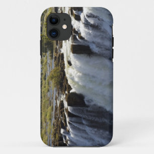 Victoria Falls, Zambesi River, Zambia. 2 iPhone 11 Case