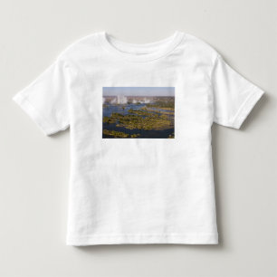 Victoria Falls, Zambesi River, Zambia - Zimbabwe 2 Toddler T-Shirt